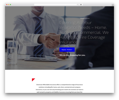 Constructor WordPress website theme - aaiaci.com