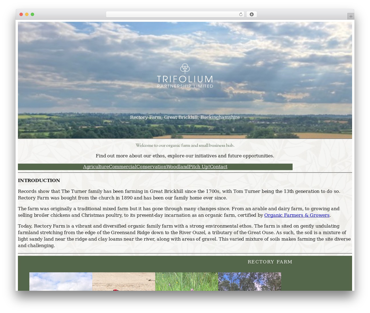 Cottage WP theme - trifolium.uk Cottage WP theme - trifolium.uk