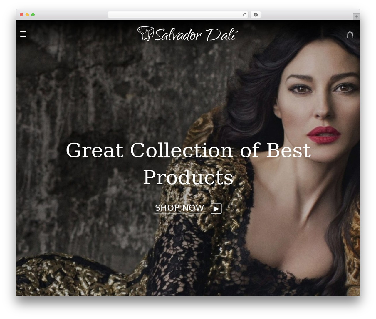 Dali WordPress theme - womenclothingbox.com