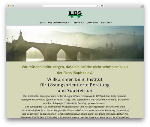 DI Simple WordPress website theme - ilbs.de