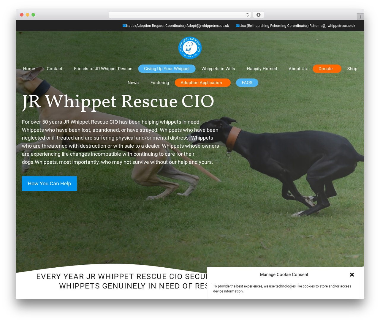 GeneratePress WordPress theme - whippetrescue.org.uk GeneratePress WordPress theme - whippetrescue.org.uk