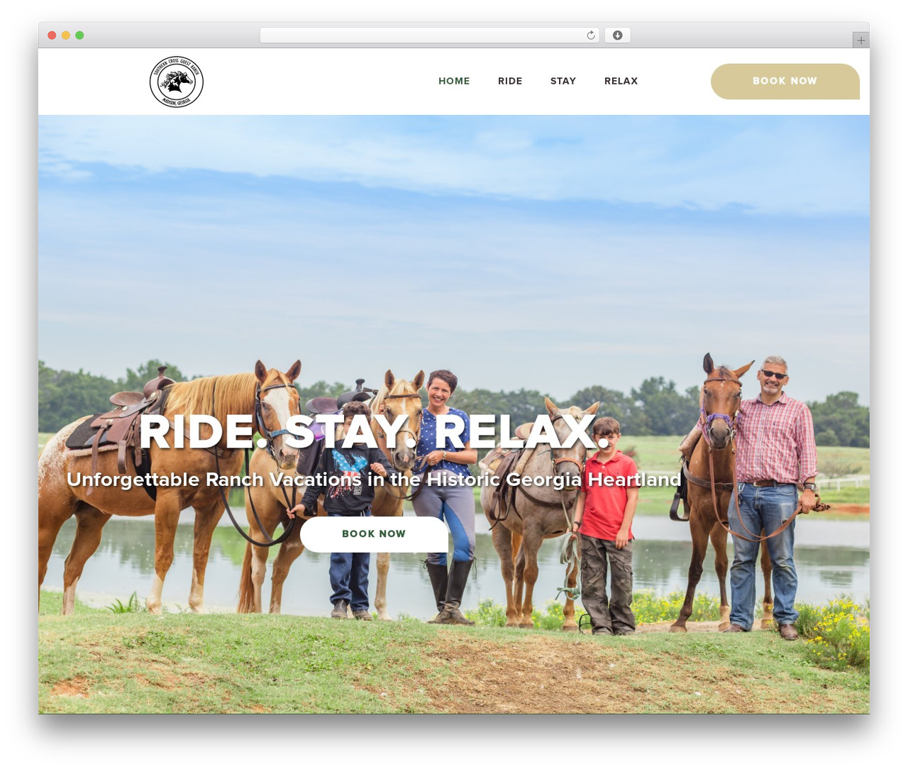 Optim Strategies best WordPress theme - southcross.com Optim Strategies best WordPress theme - southcross.com