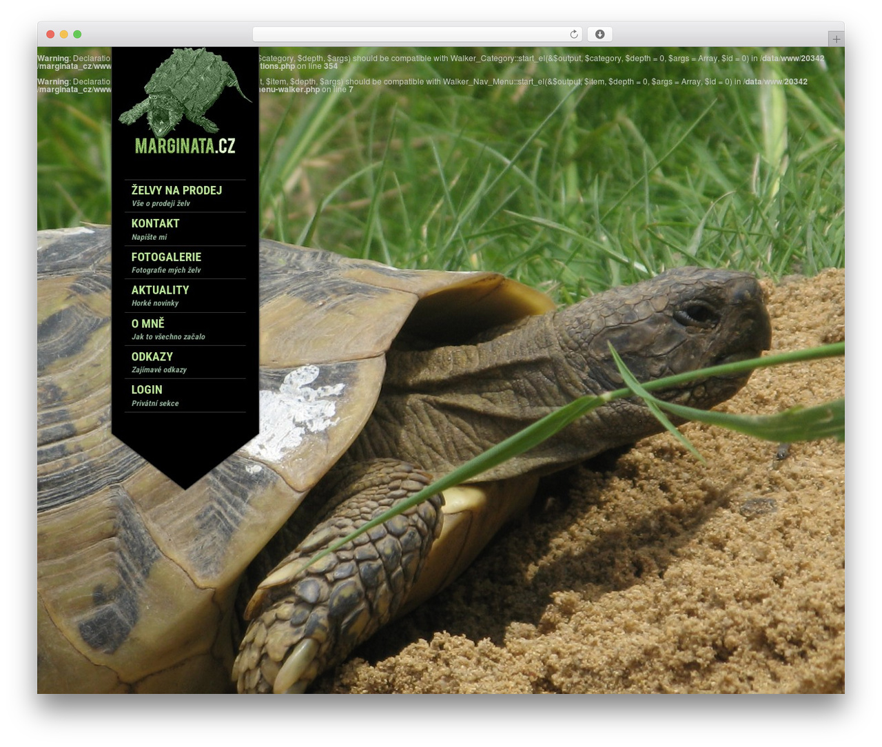 KingSize WordPress theme - marginata.cz KingSize WordPress theme - marginata.cz