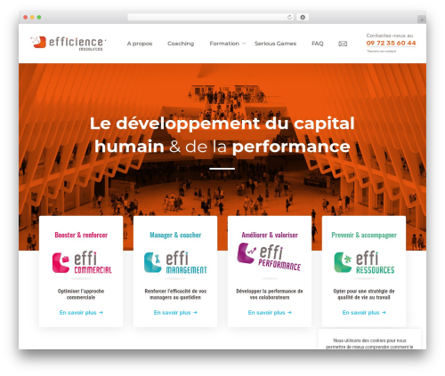 Animated Headline (animated-headline) free WordPress plugin - efficience-ressources.com