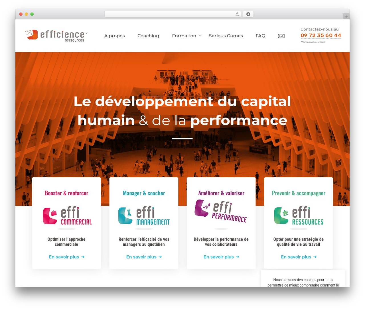 Nanosoft WordPress theme - efficience-ressources.com