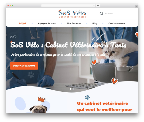 novatis WordPress theme - www.sosveto.tn