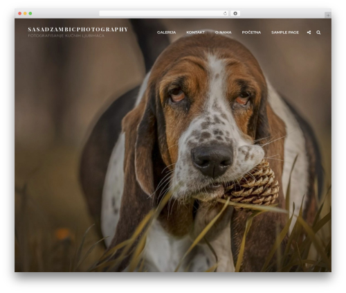 Catch Gallery (catch-gallery) free WordPress plugin - sasadzambic.com Catch Gallery (catch-gallery) free WordPress plugin - sasadzambic.com