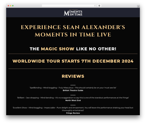 Elfsight team showcase cc WordPress plugin - momentsintimelive.com