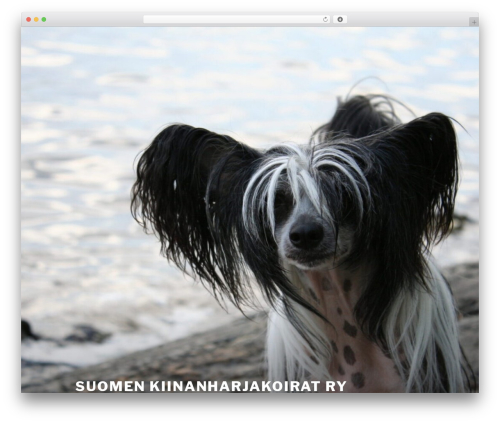 Widget Manager Light (widget-manager-light) free WordPress plugin - kiinanharjakoirat.fi Widget Manager Light (widget-manager-light) free WordPress plugin - kiinanharjakoirat.fi