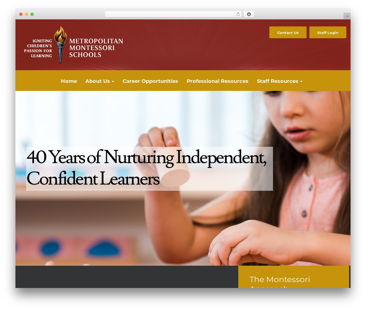 WordPress theme Ed School - metropolitanmontessorischools.com