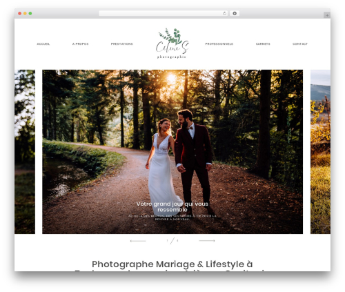 Flo flex builder WordPress plugin - celine-skowron.fr