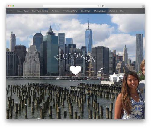 Milestone (milestone) free WordPress plugin - happilyeverafterny.com