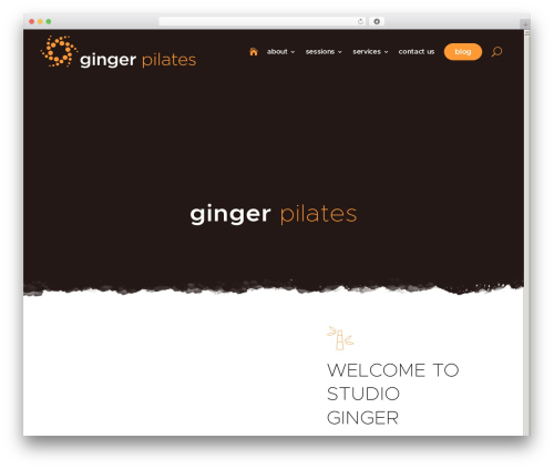 Divi modules image box WordPress plugin - gingerpilates.com
