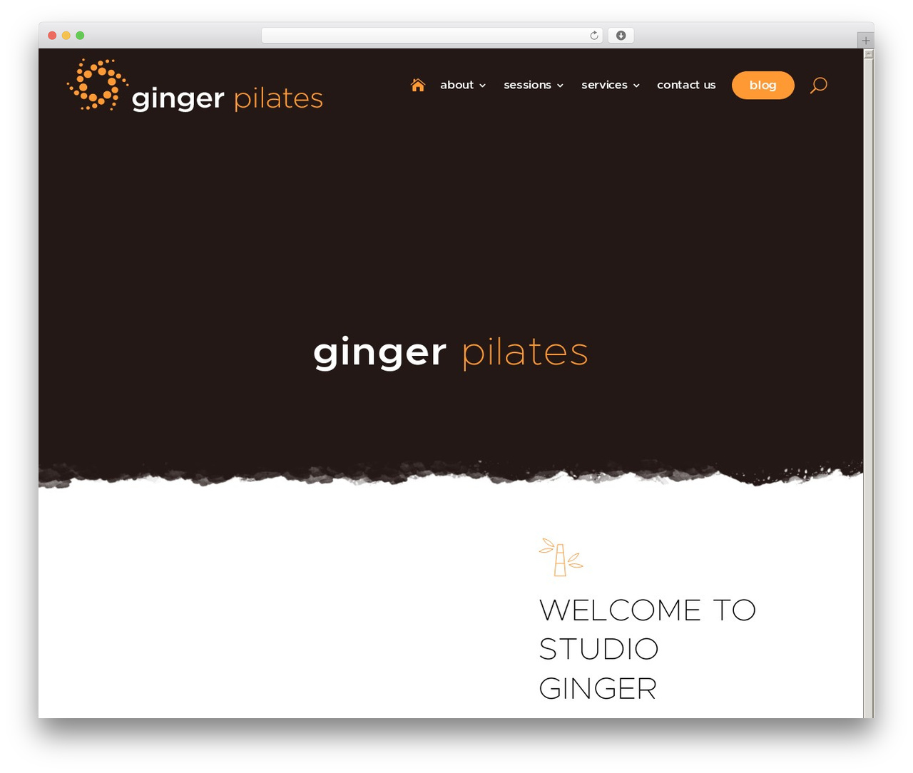 WordPress theme Divi - gingerpilates.com WordPress theme Divi - gingerpilates.com