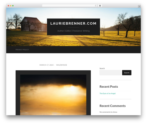 Hostinger affiliate plugin WordPress plugin - lauriebrenner.com
