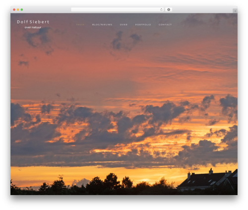 Subscribe2 – Form, Email Subscribers & Newsletters (subscribe2) free WordPress plugin - dolfsiebert.nl