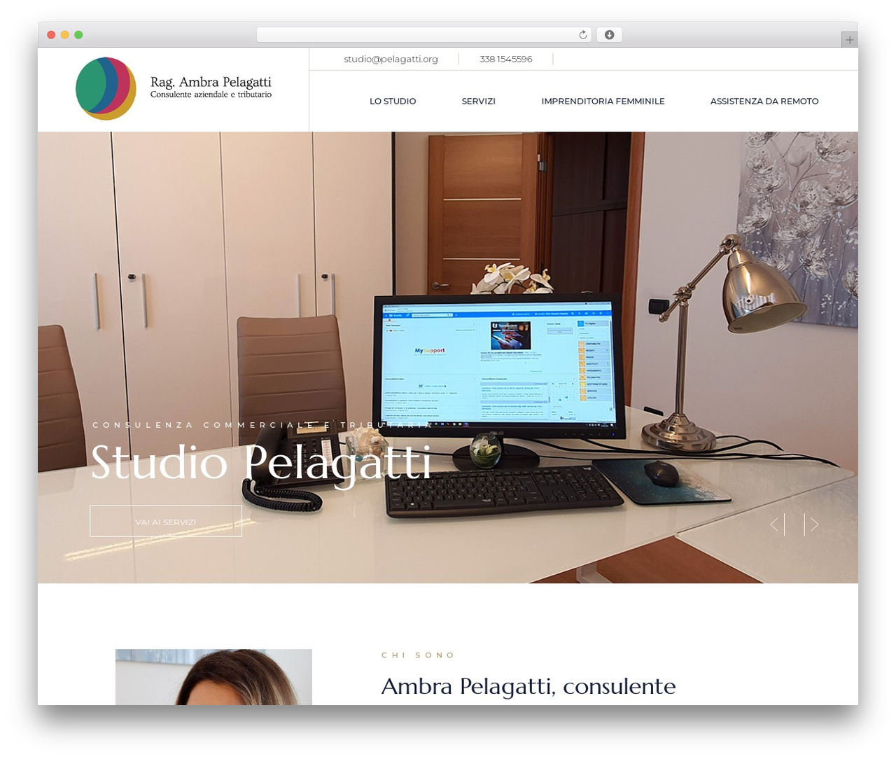 Halstein Child premium WordPress theme - pelagatti.org