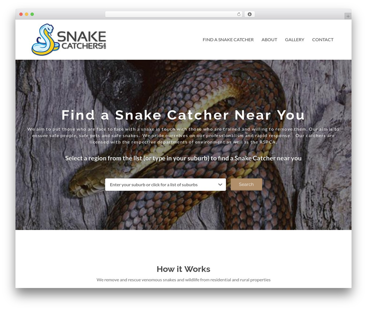 Listify premium WordPress theme - snakecatchers.com
