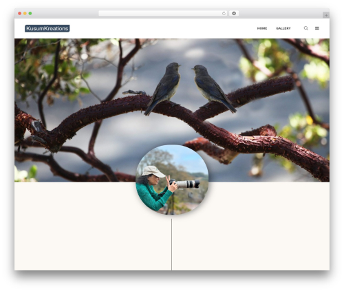 Shutter wallpapers WordPress theme - kusumkreations.com