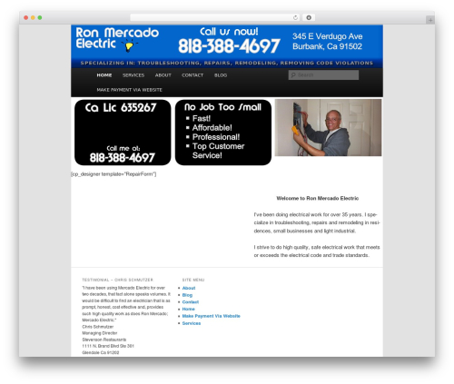 TechSiteBuilder WordPress theme - mercadoelectric.com