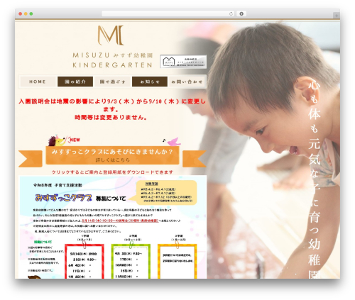 Standard Widget Extensions (standard-widget-extensions) free WordPress plugin - misuzuyouchien.com