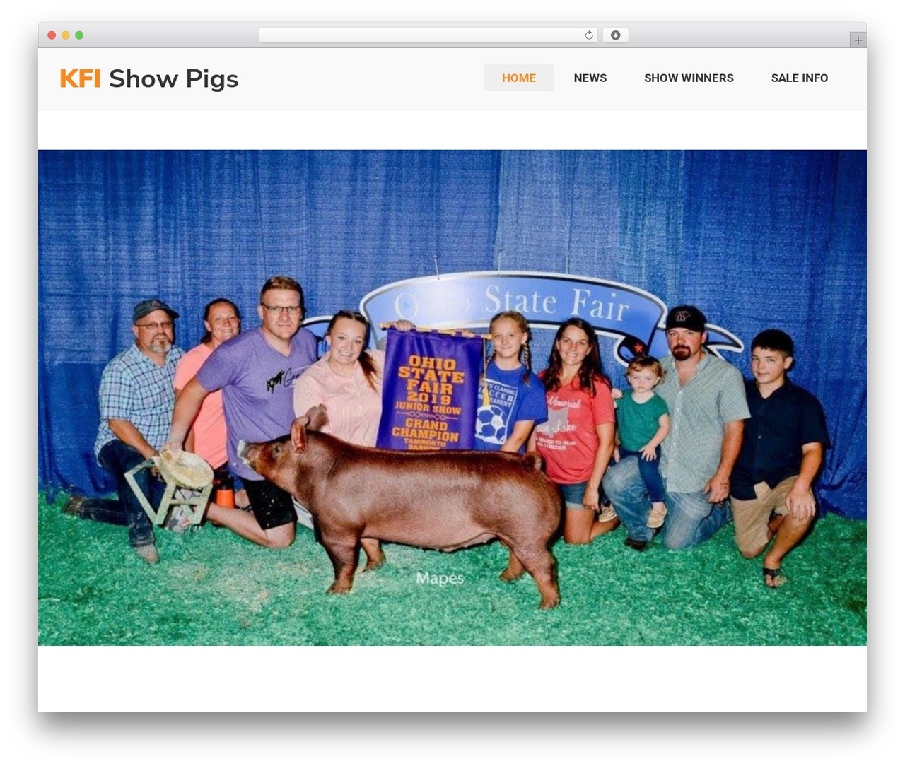 Developer Theme theme WordPress - kfishowpigs.com