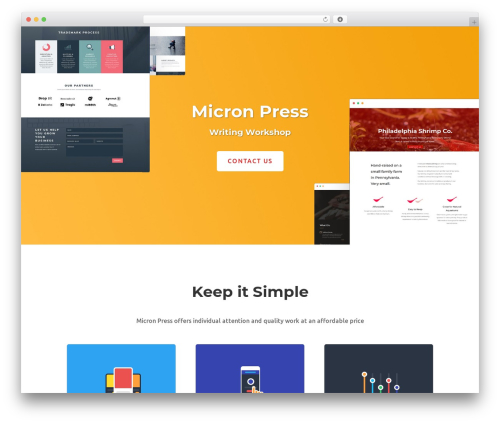 Divi theme WordPress - micronpress.com