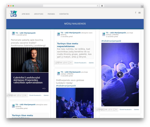 Mc mega menu WordPress plugin - musumarijampole.lt