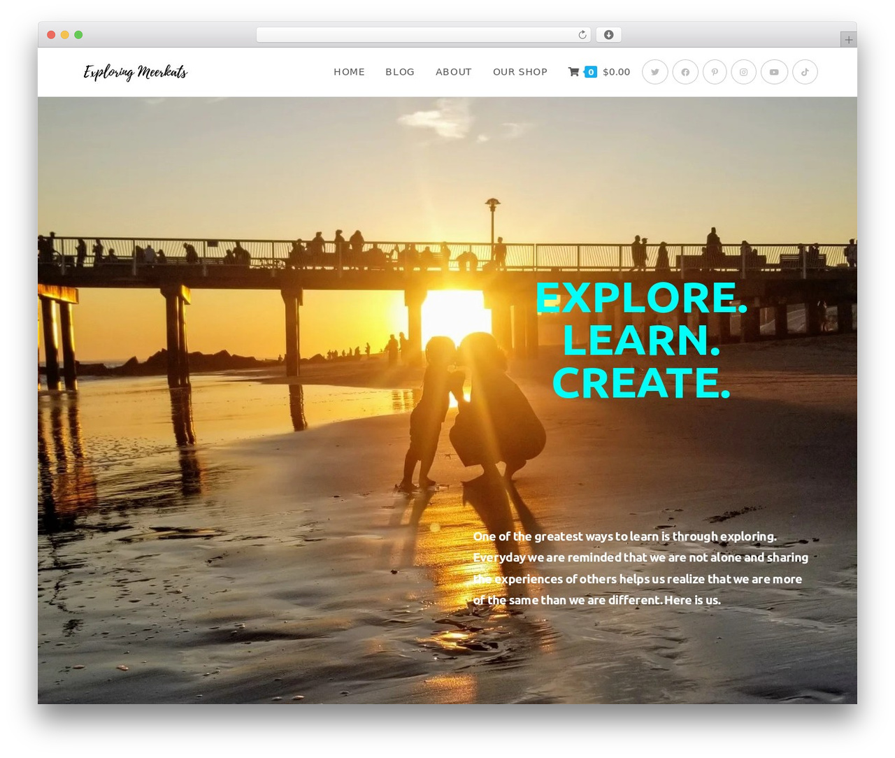 OceanWP theme WordPress - exploringmeerkats.com OceanWP theme WordPress - exploringmeerkats.com
