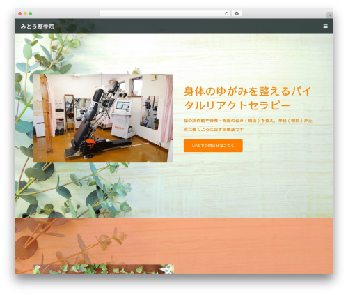 Tcd classic editor WordPress plugin - mito-vital.com