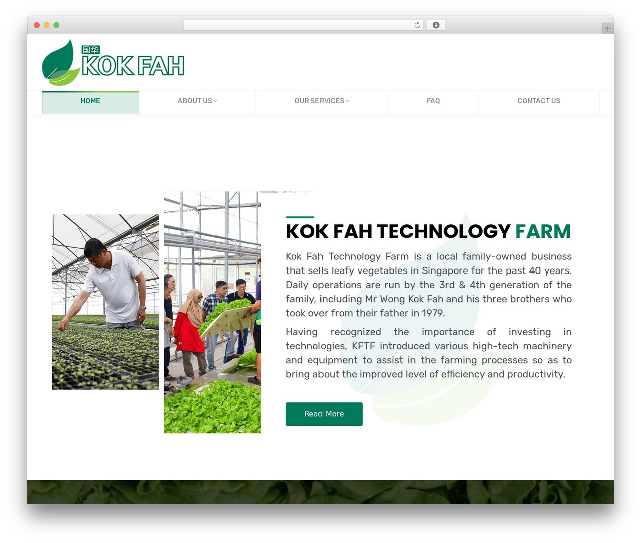 The7 WordPress theme - kokfahfarm.com.sg The7 WordPress theme - kokfahfarm.com.sg
