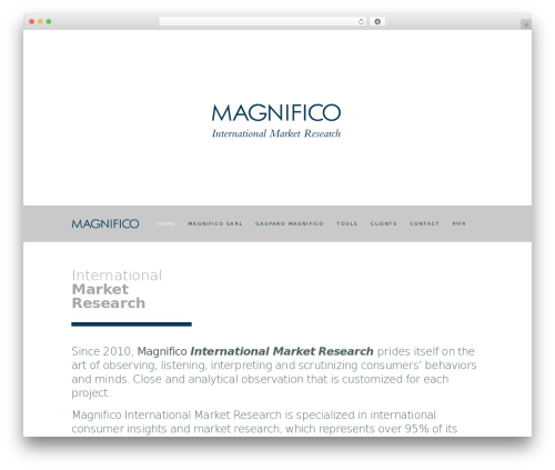 Theme WordPress Argus WP - magnifico.fr
