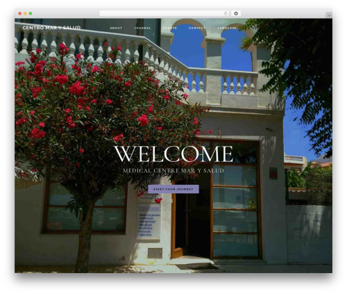 WordPress theme cms - centromarysalud.com