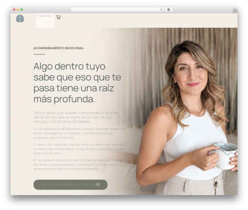 Checkout upsell and order bumps WordPress plugin - emebienestar.com