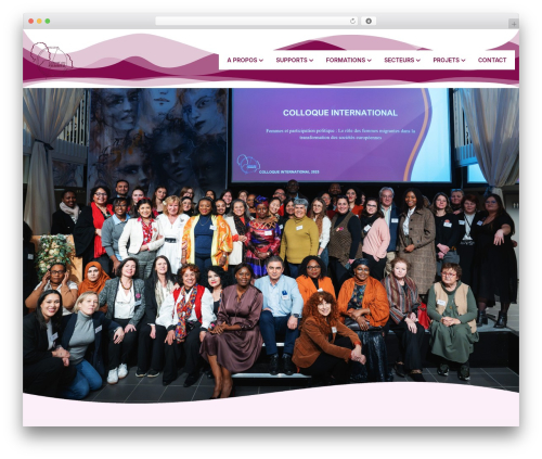 Bearsthemes addons WordPress plugin - collectifdesfemmes.be