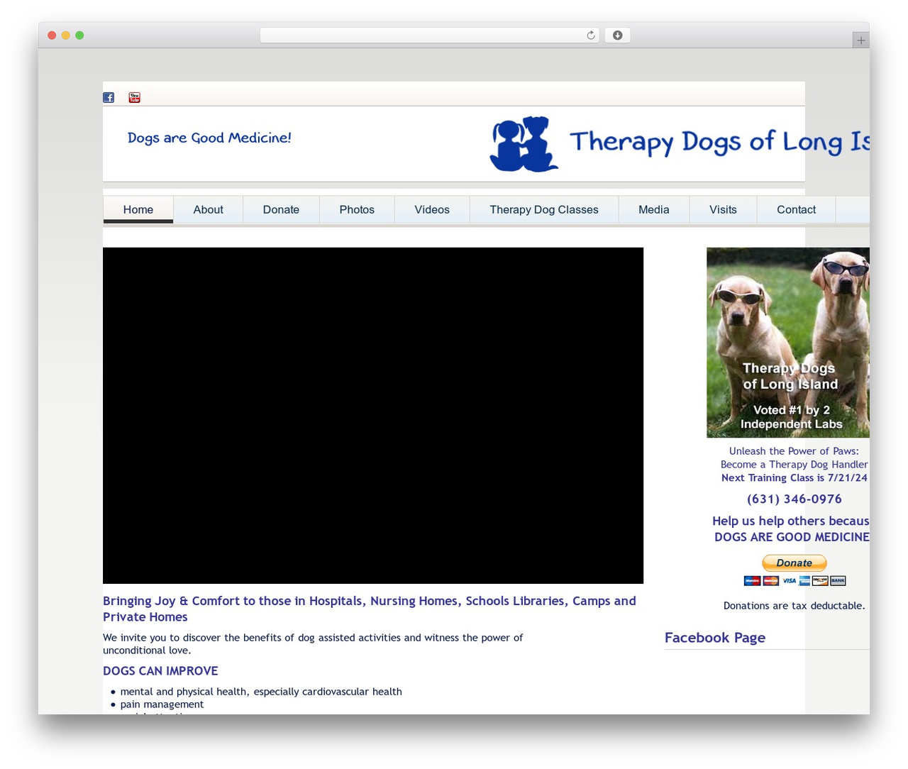 cherry theme WordPress - therapydogsli.org cherry theme WordPress - therapydogsli.org