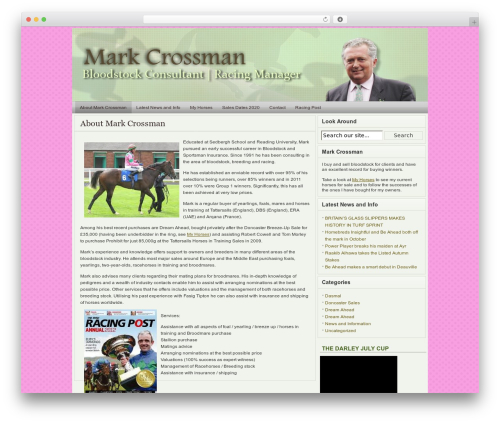 FlexSqueeze best WordPress theme - markcrossman.com