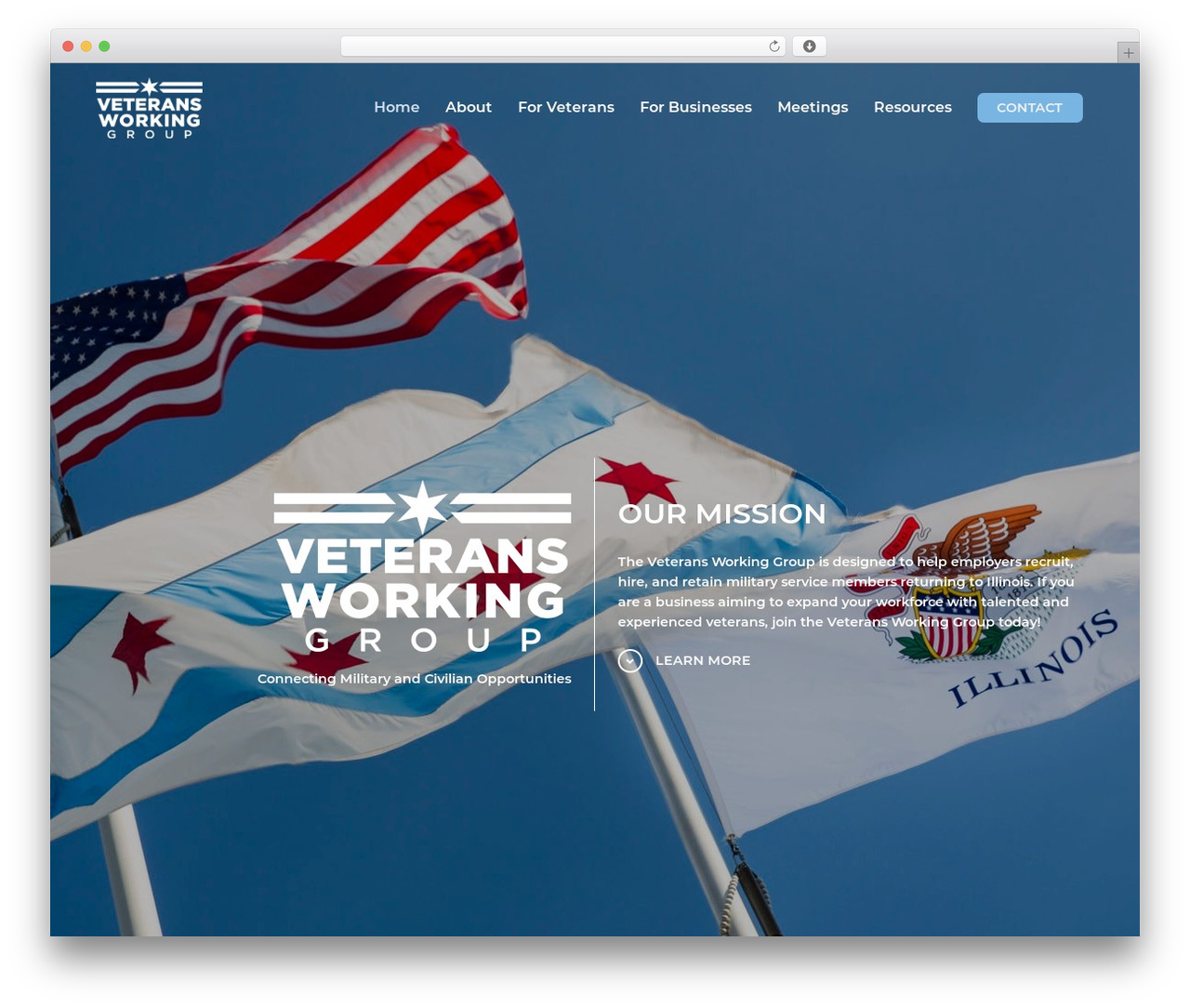 OptikTheme WordPress theme - veteransworkinggroup.org