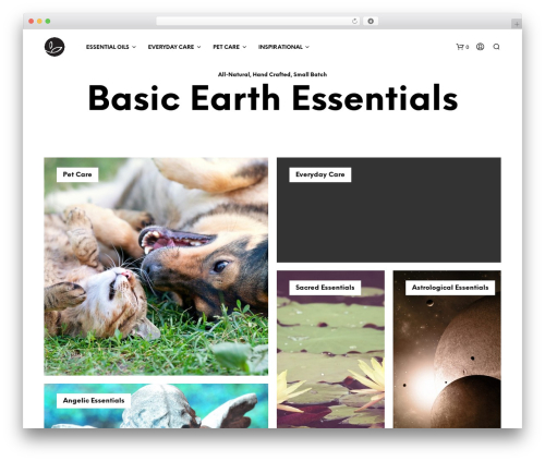 Wp hummingbird WordPress plugin - basicearthessentials.com