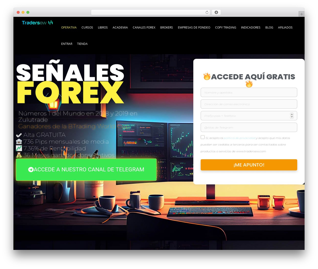 Theme WordPress Skillate Child - tradersew.com Theme WordPress Skillate Child - tradersew.com