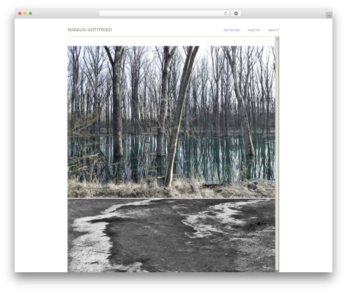 Theme WordPress Markus M. Gottfried - markusgottfried.at