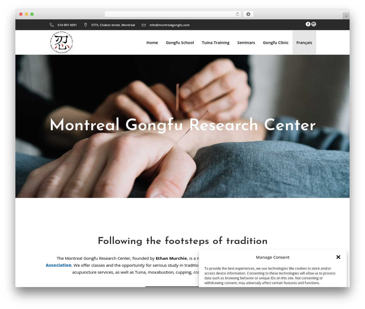 Wellspring WordPress theme - montrealgongfu.com