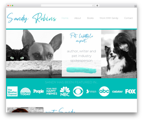 Wpbf premium WordPress plugin - sandyrobinsonline.com