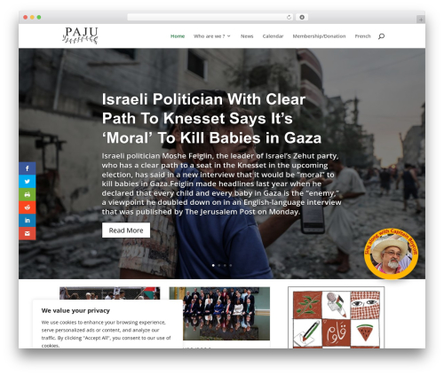 Divi WordPress theme design - paju.org