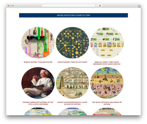 Ithemes exchange WordPress plugin - worldhistorycharts.com