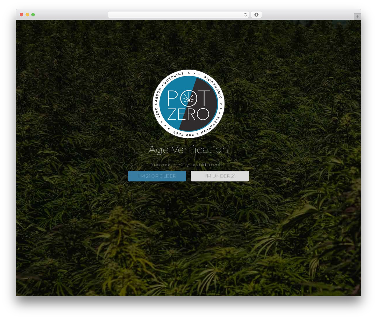 Hello Elementor theme WordPress - potzero.co