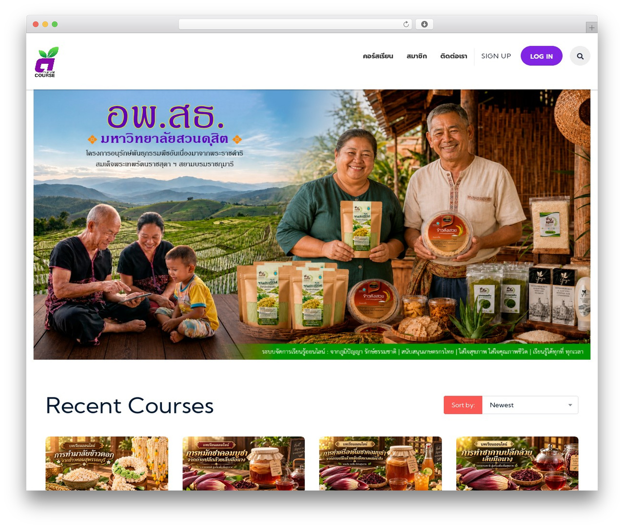 MasterStudy WordPress theme - d-course.com MasterStudy WordPress theme - d-course.com