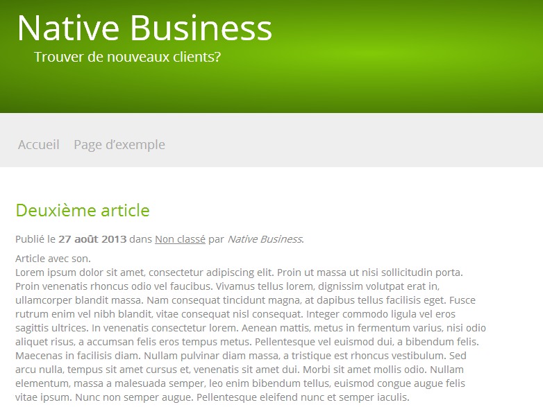 Native WordPress theme Native WordPress theme