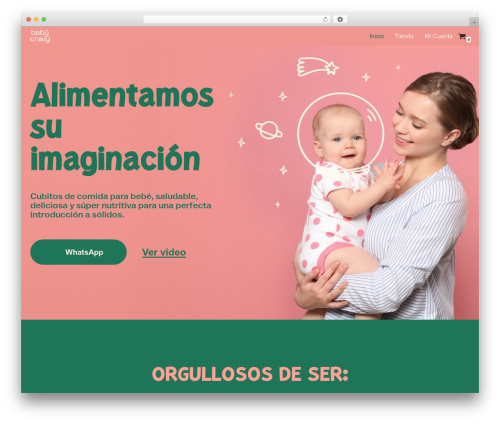 Openpay cards WordPress plugin - babycravy.com