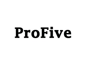 Profive WordPress theme